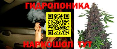 кокс Нарткала