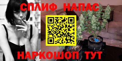 СК Наро-Фоминск