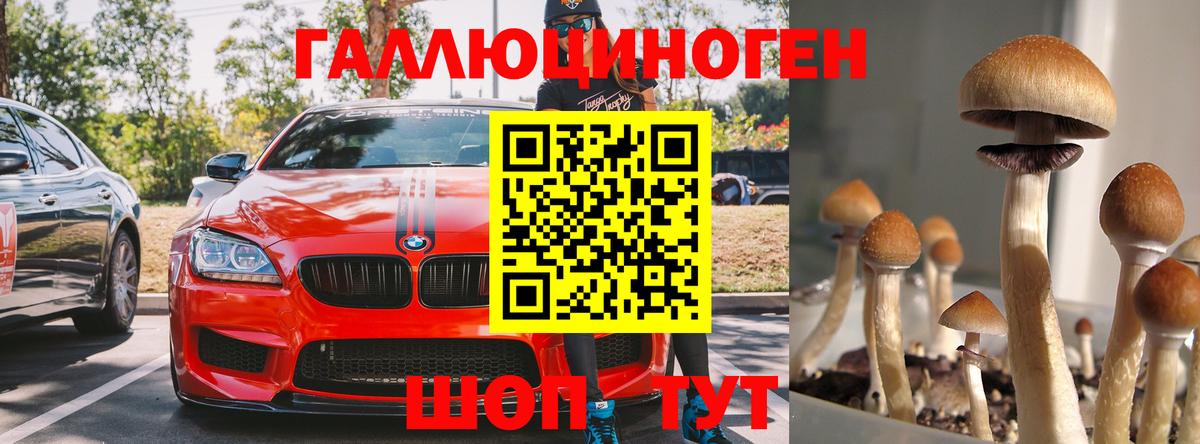Псилоцибиновые грибы ЛСД Реутов